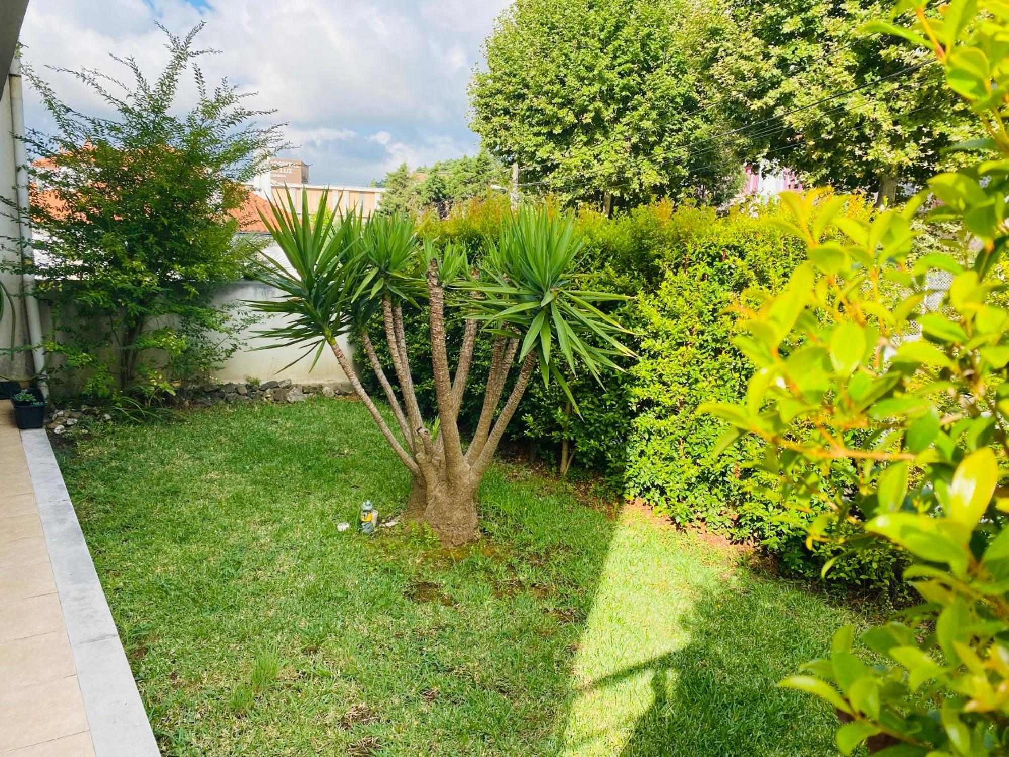EssencyahomeCoímbra Exterior foto